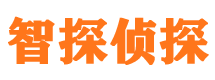 张家川外遇调查取证